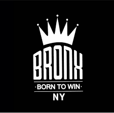 Bronx Boxing